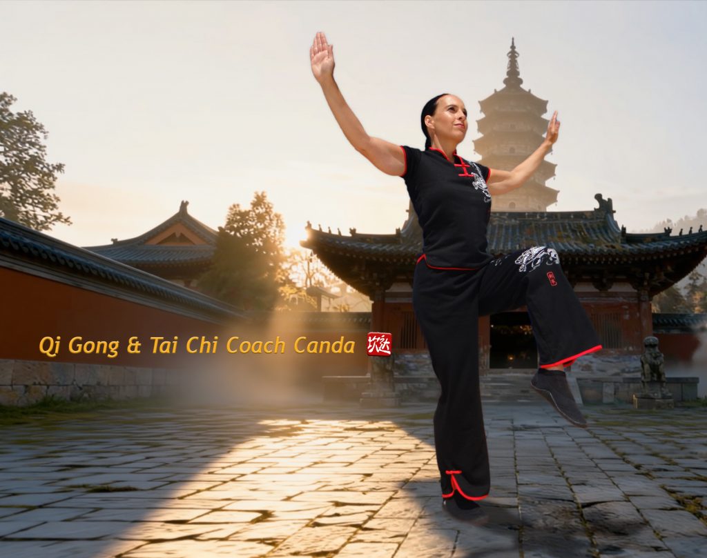 Qi Gong and Tai Chi Coach Canda